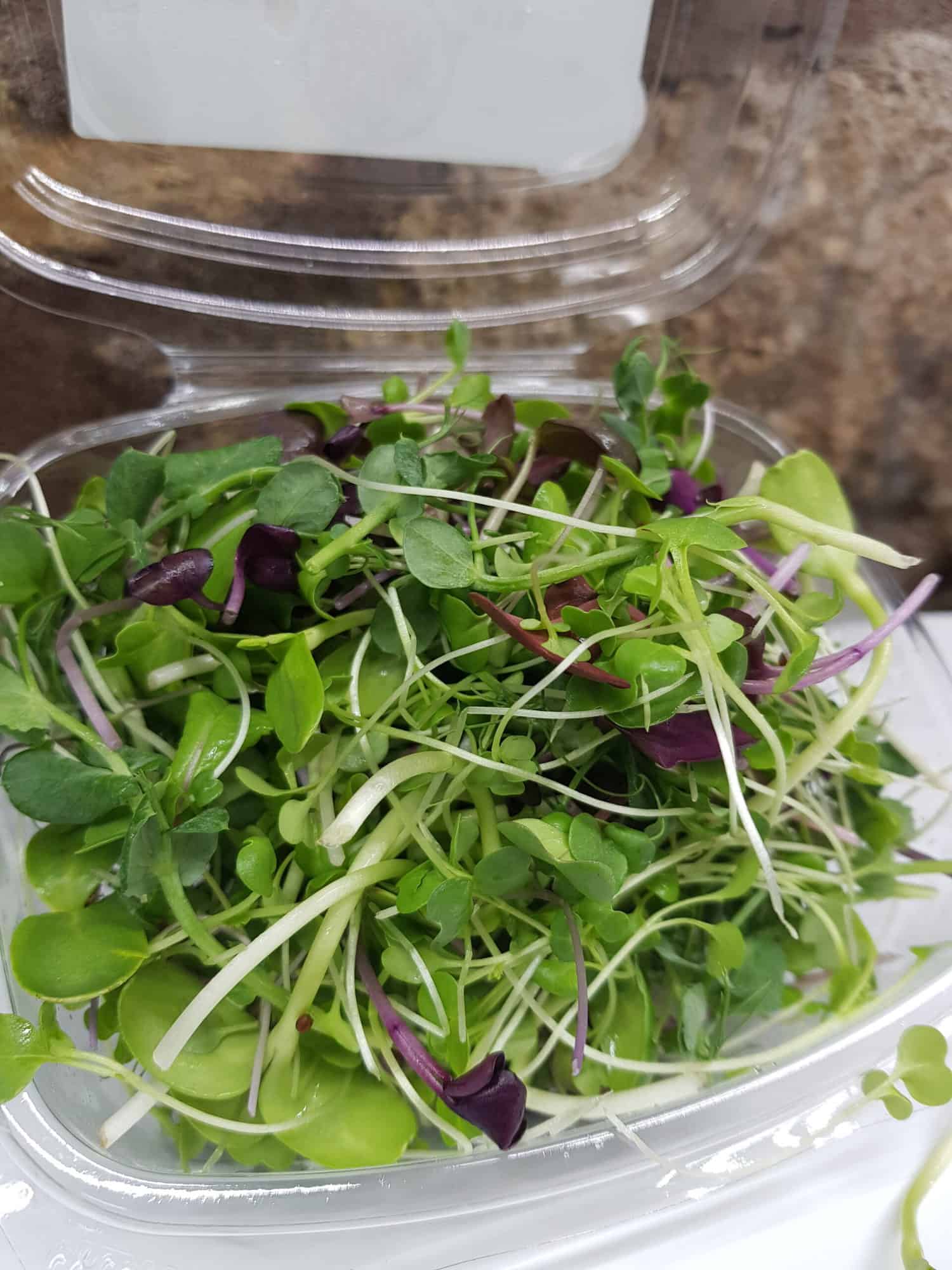 Rising Roots Microgreens - the Rocket pack